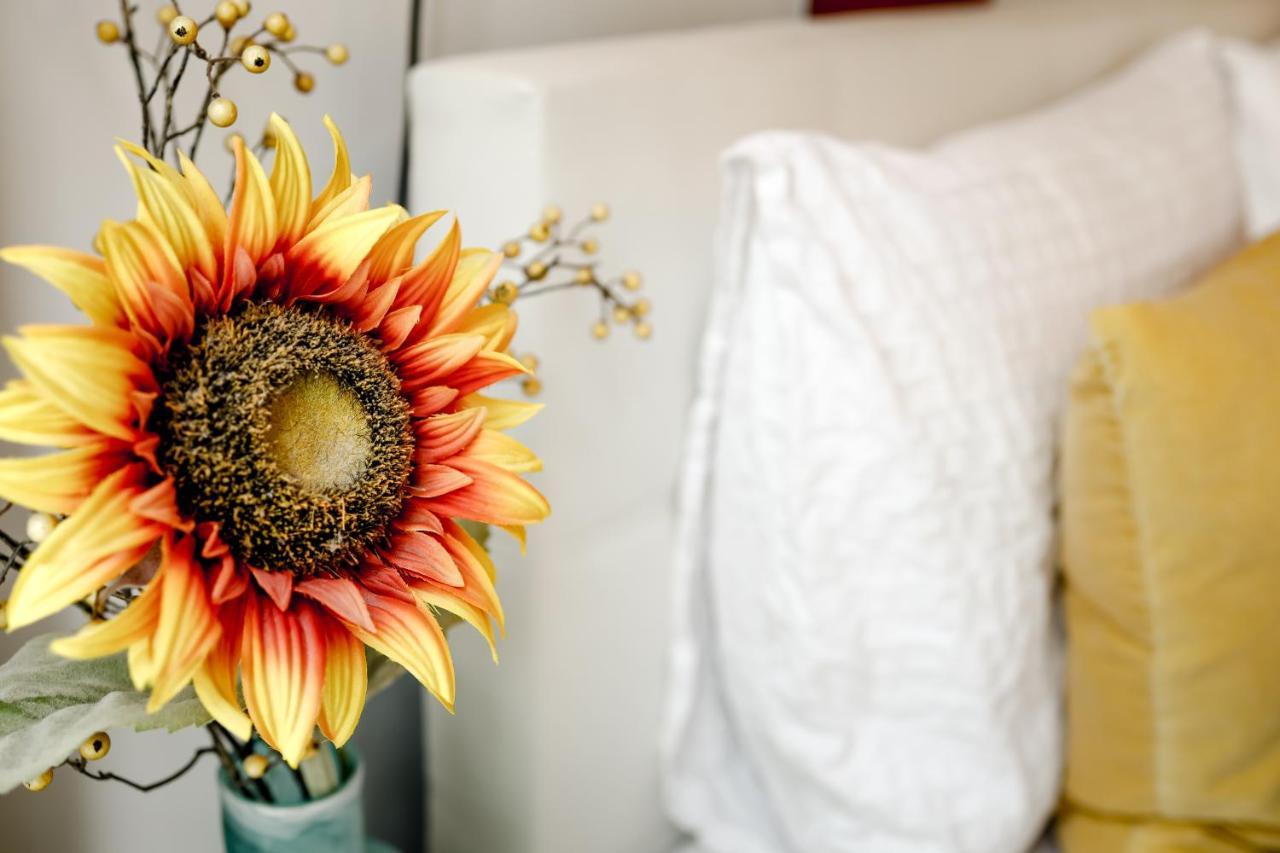 Sunflower Amsterdam Bed and Breakfast Εξωτερικό φωτογραφία